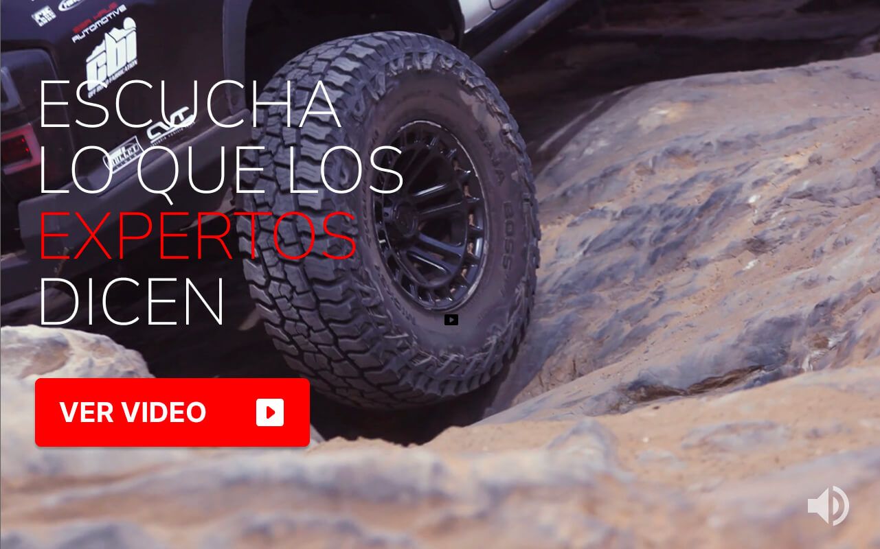 Ver video